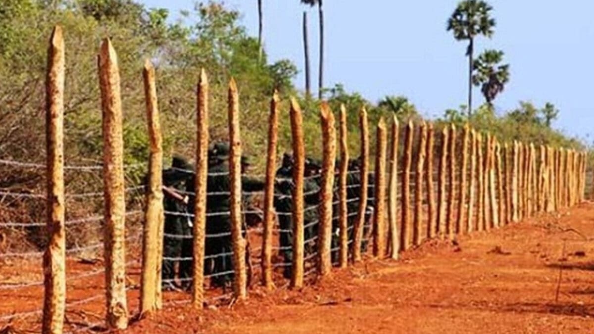 தமிழர் காணிகளில் 14 ஆயிரம் சிங்களவர்கள் குடியேற்றம் - ஒப்புக்கொண்ட எம்.பி 1 tamilni 409 scaled