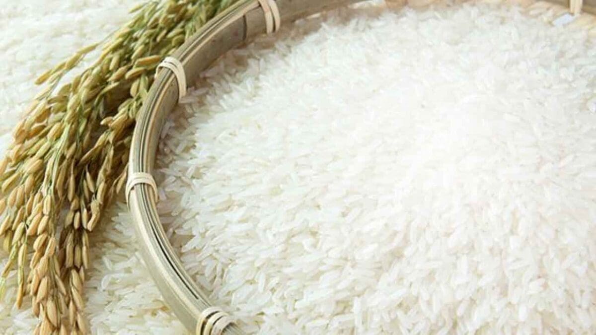 அரிசிக்கு கனேடிய மக்கள் அதிக கட்டணம் செலுத்தும் நிலை ஏன்? வெளியான பின்னணி 1 IMG 20231109 WA0011 1 scaled