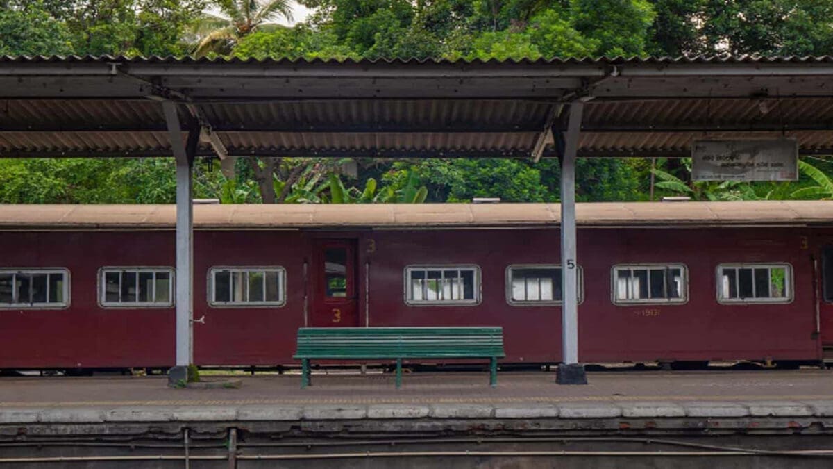 Rasi palan new10 1
