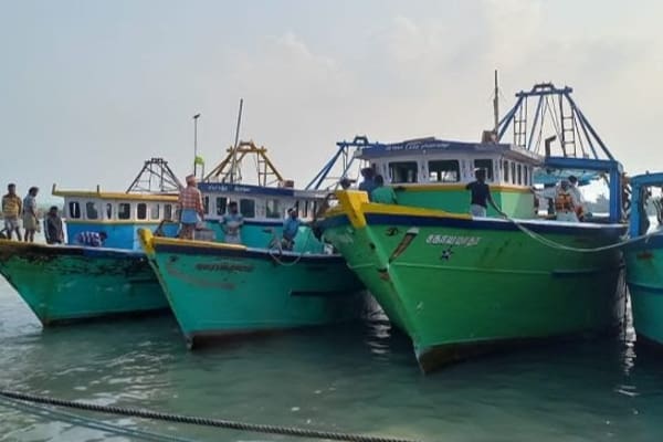 24 66026ab76b775