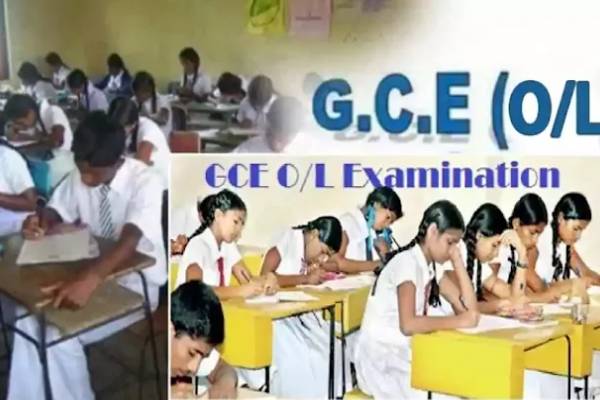 24 6636ebc441ee7