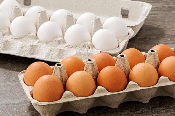 15 24
